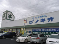pinokio.jpg
