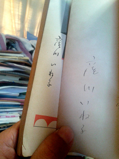 kubokawaineko.jpg