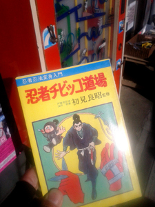 ninjya_chibikko.jpg