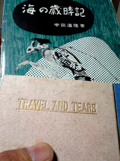 travel_and_tears.jpg